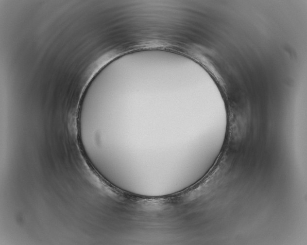X0000112810810200908211143
