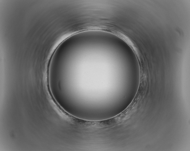 X0000112810811200908211143