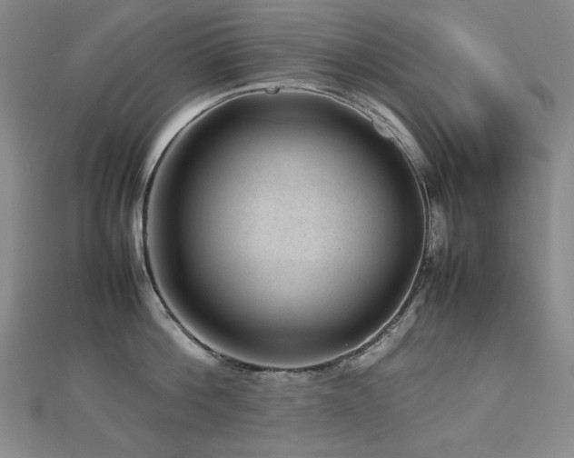 X0000112810812200908211143