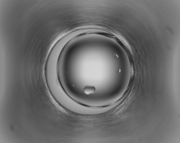 X0000112810813200908211143