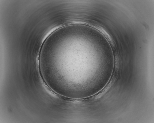 X0000112810814200908211143