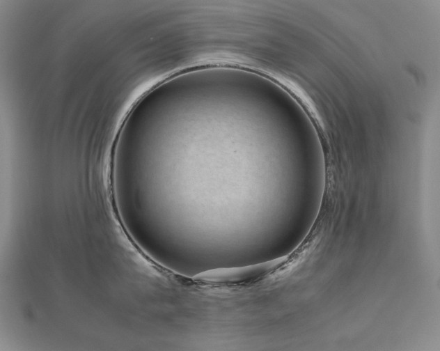 X0000112810815200908211143