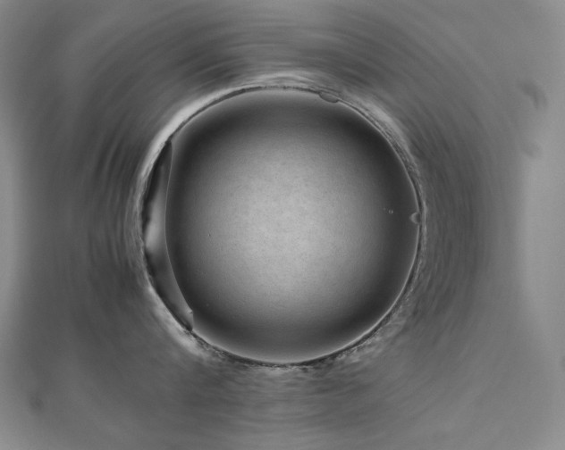 X0000112810816200908211143