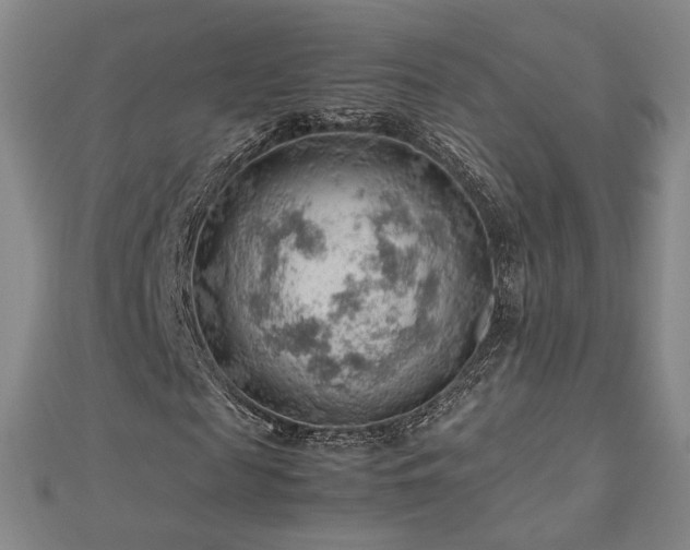 X0000112810817200908211142