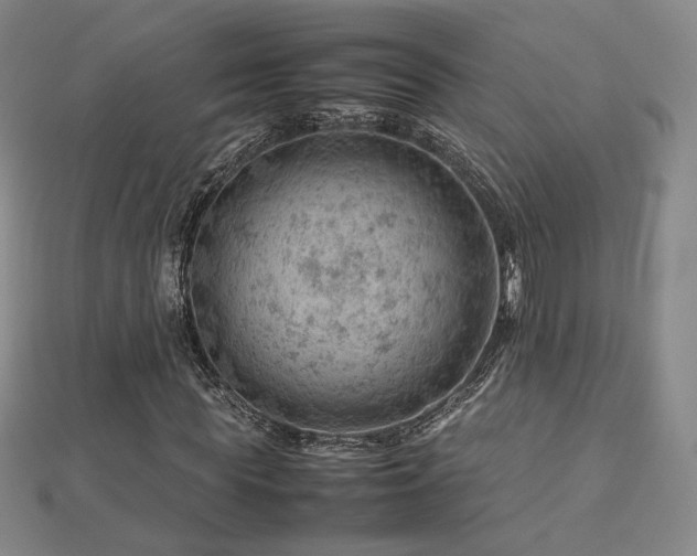 X0000112810819200908211142