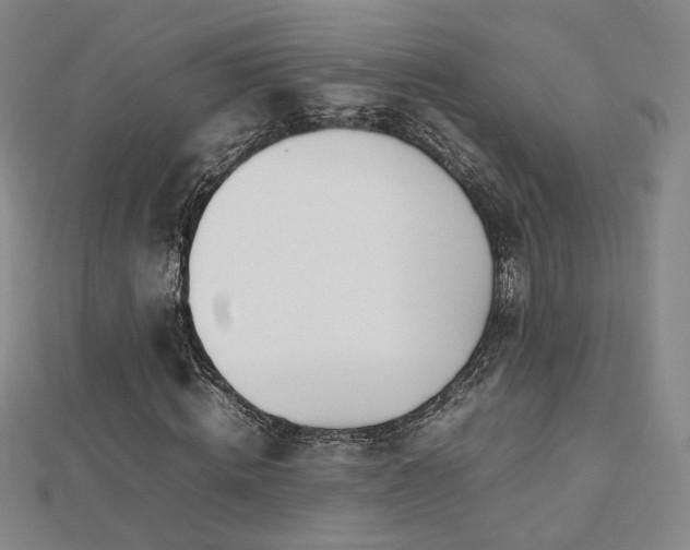 X0000112810820200908211142
