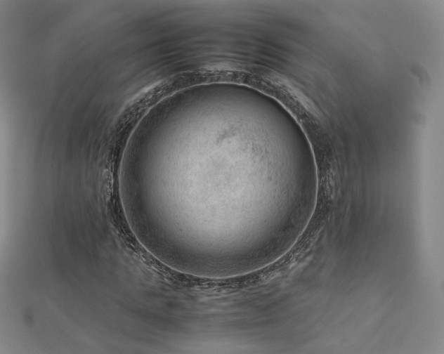 X0000112810821200908211142