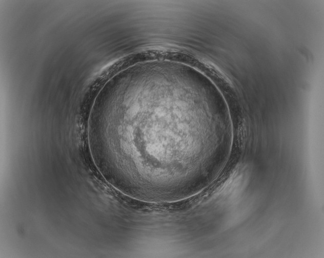 X0000112810822200908211142