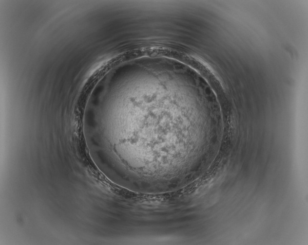 X0000112810823200908211142