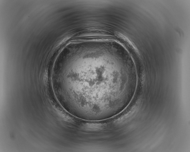 X0000112810825200908211142