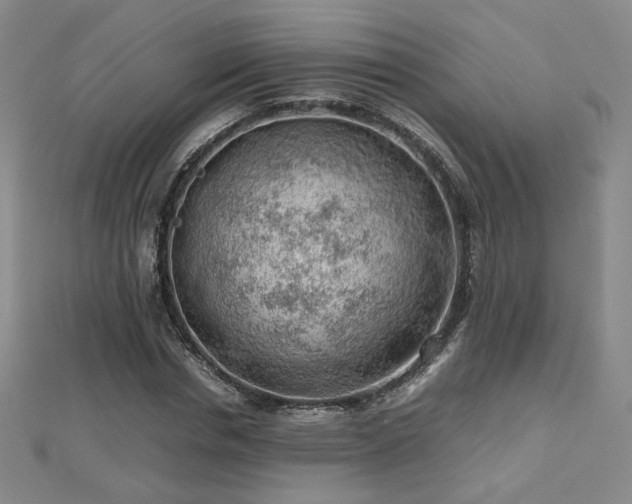 X0000112810826200908211142