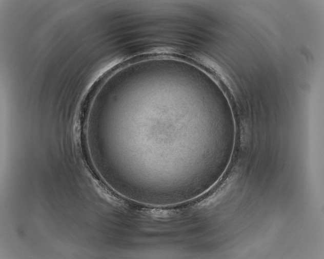 X0000112810827200908211142