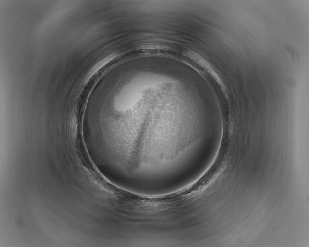 X0000112810829200908211142