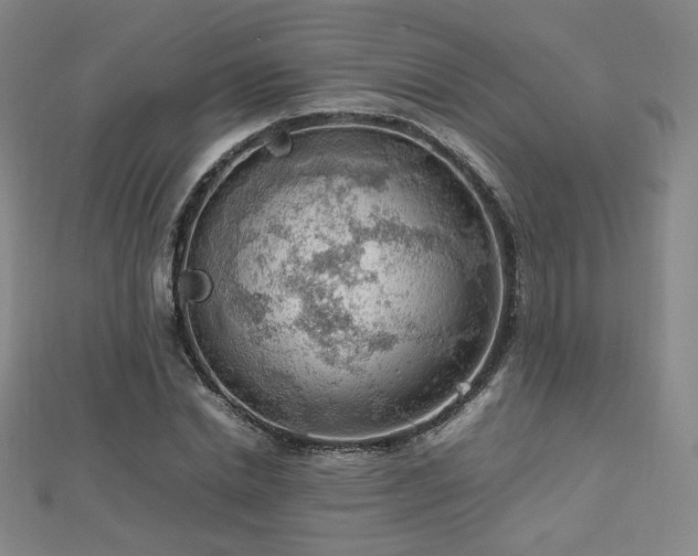 X0000112810830200908211142