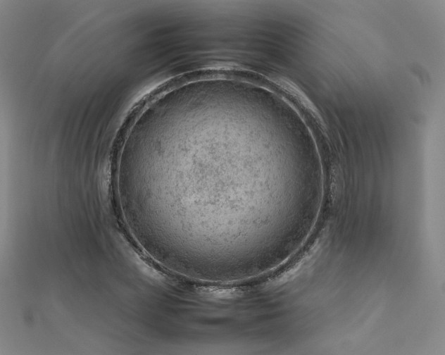 X0000112810831200908211142
