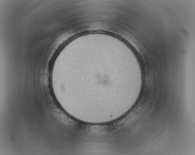 X0000112810832200908211142