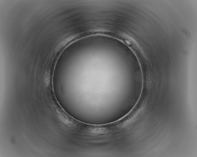 X0000112810833200908211142