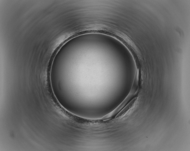 X0000112810834200908211142