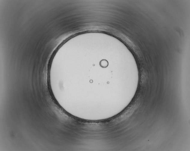 X0000112810836200908211142