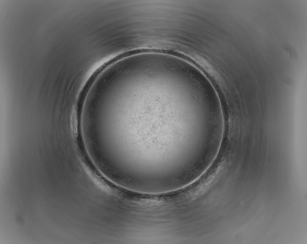 X0000112810838200908211142