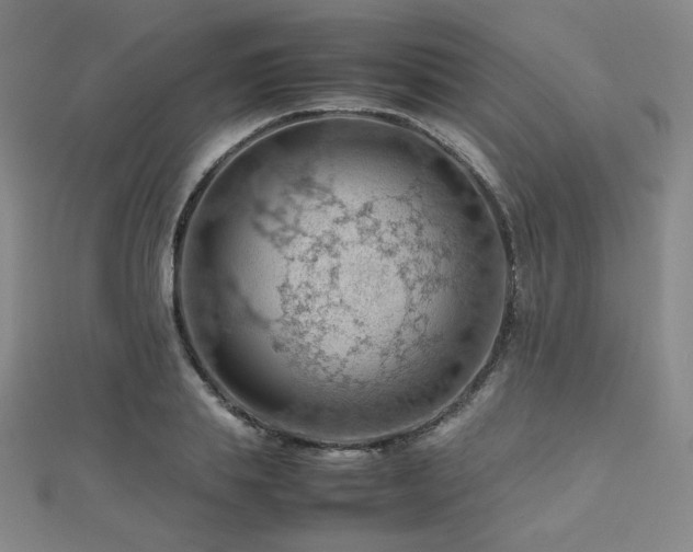 X0000112810839200908211142