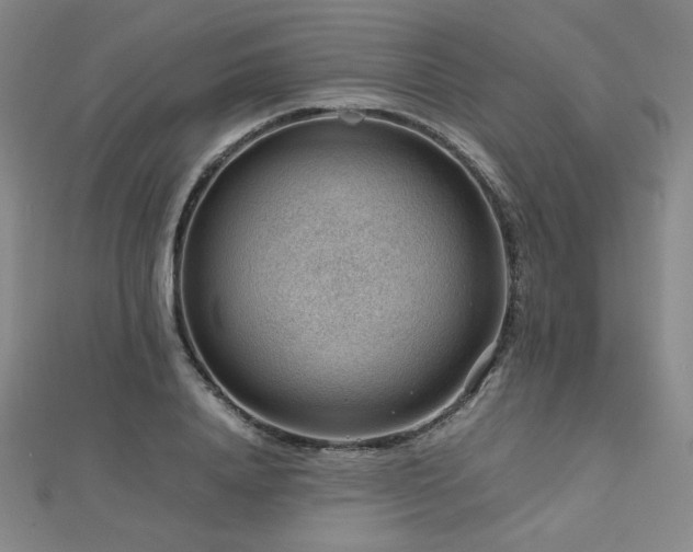 X0000112810840200908211142