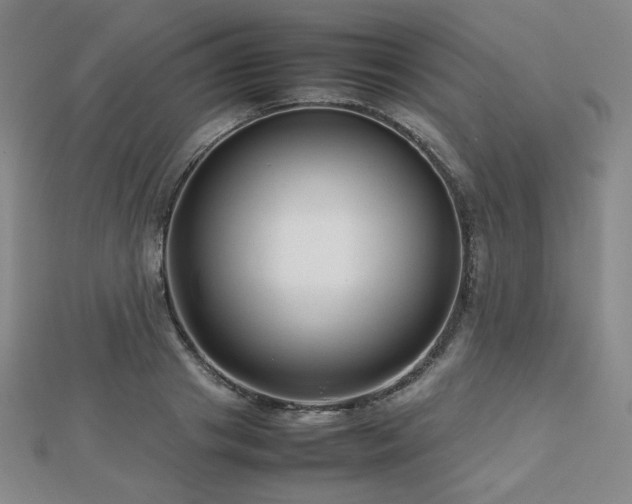 X0000112810841200908211142