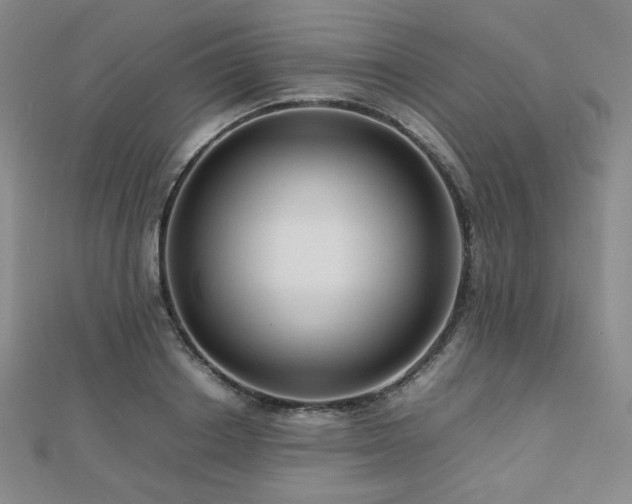 X0000112810842200908211142