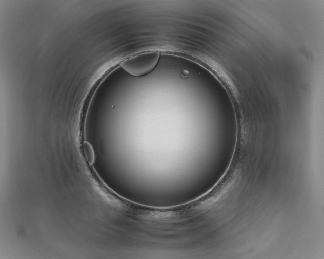 X0000112810845200908211142
