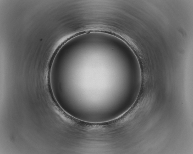 X0000112810846200908211142