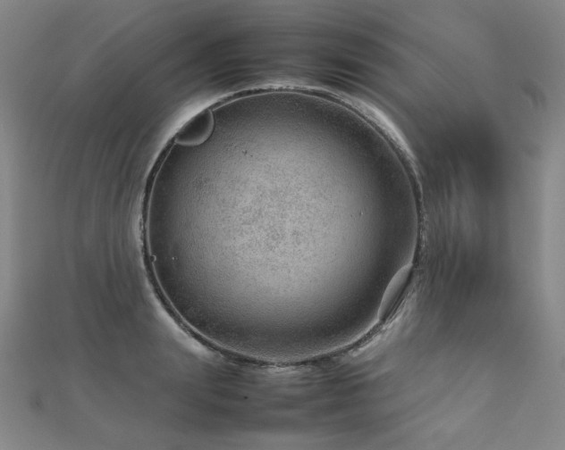 X0000112810847200908211142