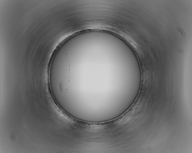 X0000112810848200908211142
