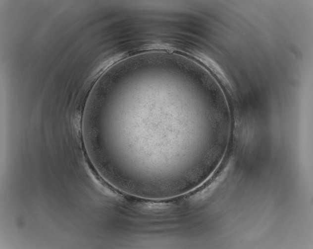 X0000112810849200908211142