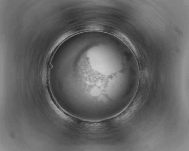 X0000112810851200908211142