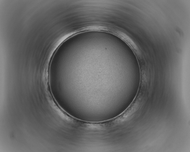 X0000112810852200908211142