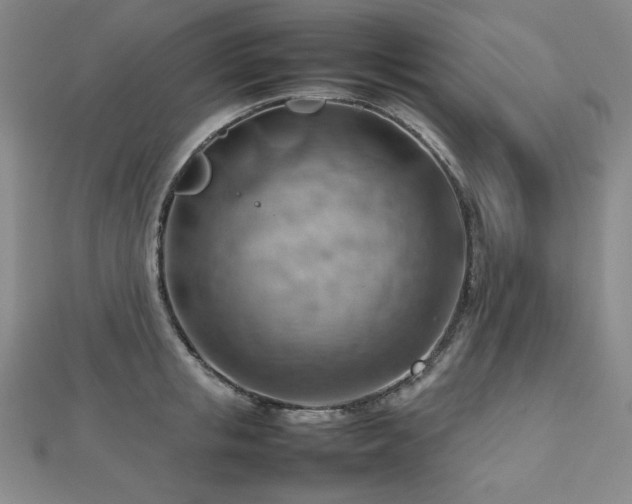 X0000112810853200908211142