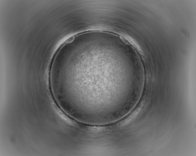 X0000112810854200908211142