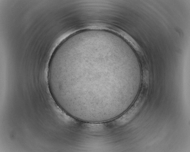 X0000112810856200908211142