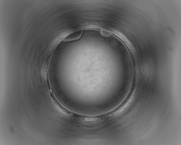 X0000112810857200908211142