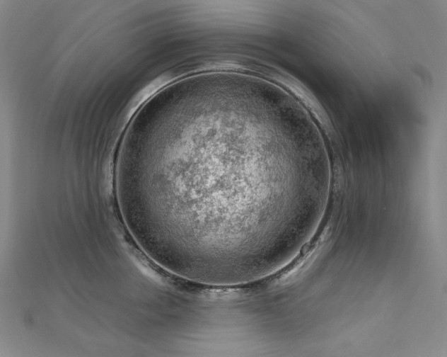 X0000112810858200908211142