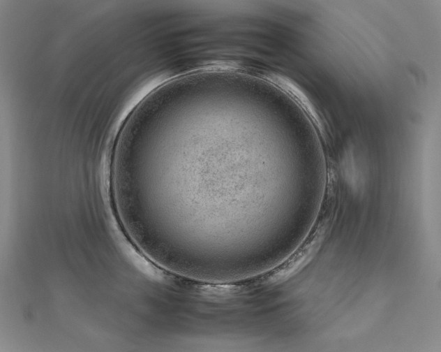 X0000112810859200908211143