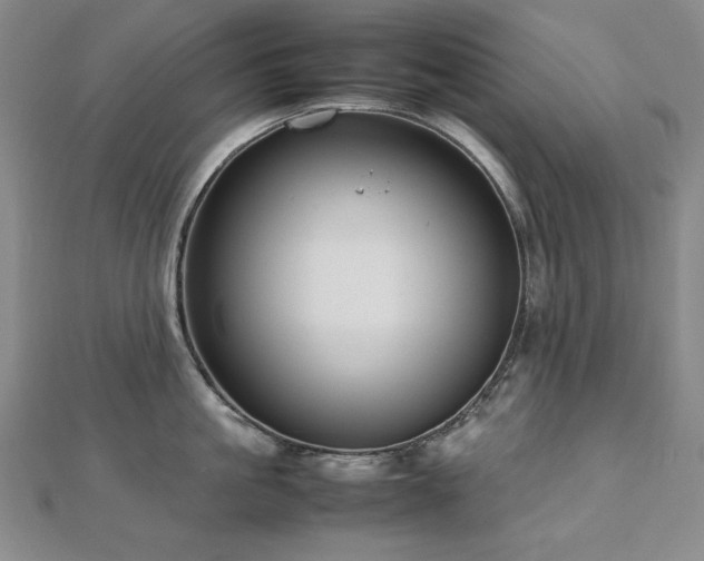 X0000112810861200908211143