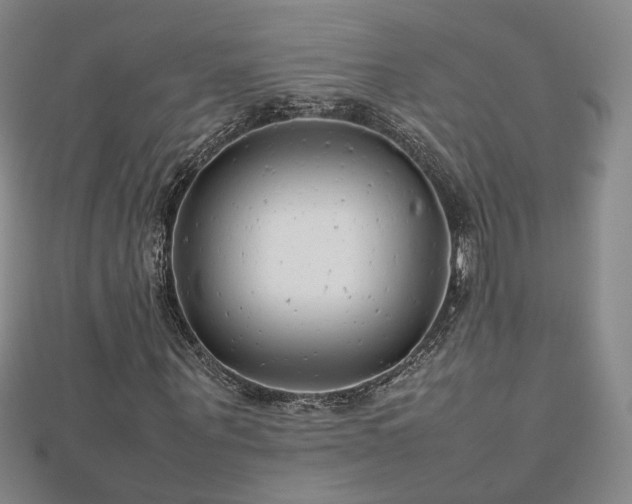 X0000112810867200908211142