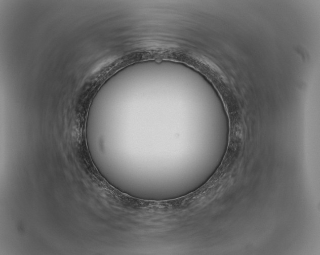 X0000112810869200908211142