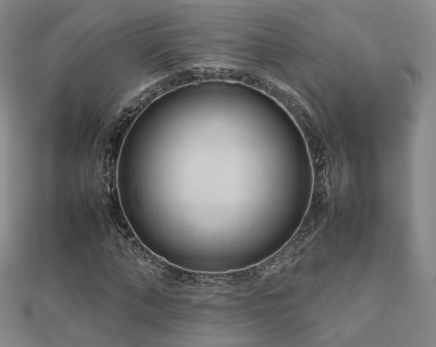 X0000112810870200908211142