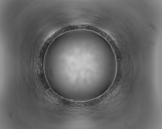 X0000112810871200908211142