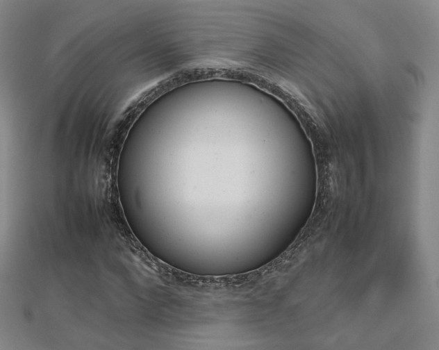 X0000112810872200908211142