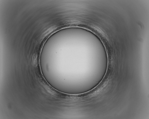 X0000112810873200908211142