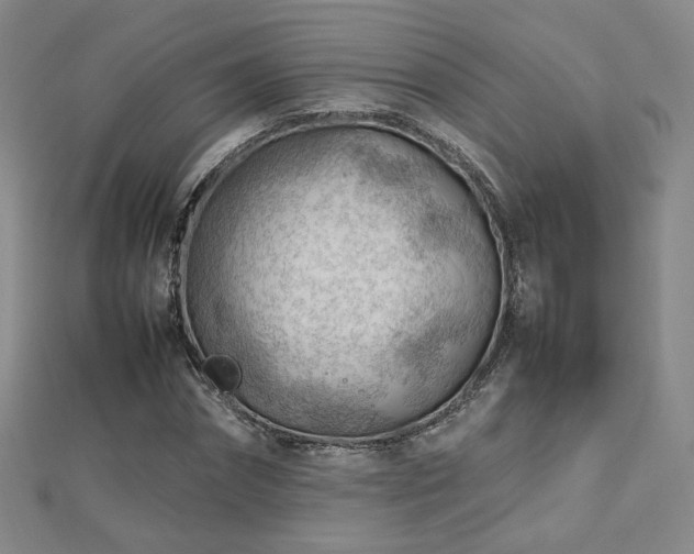 X0000112810874200908211142