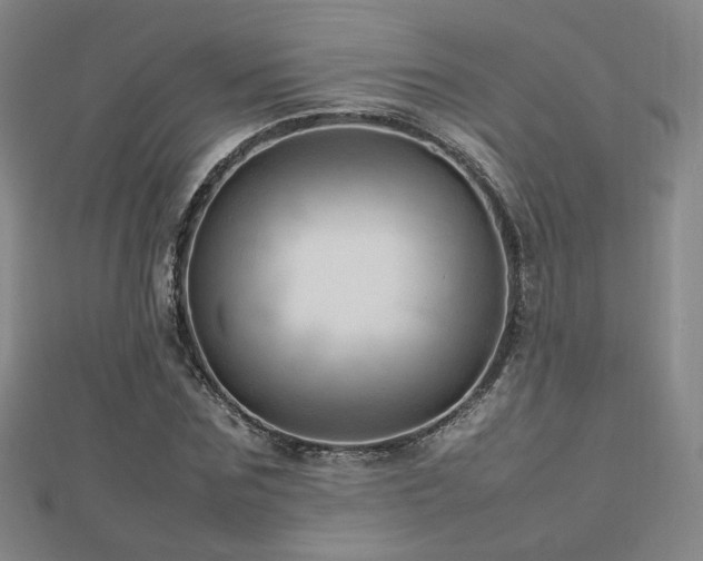 X0000112810875200908211142